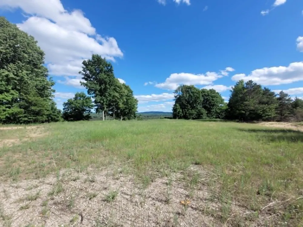 W 12 1/2 ROAD Wexford Township, MI 49668