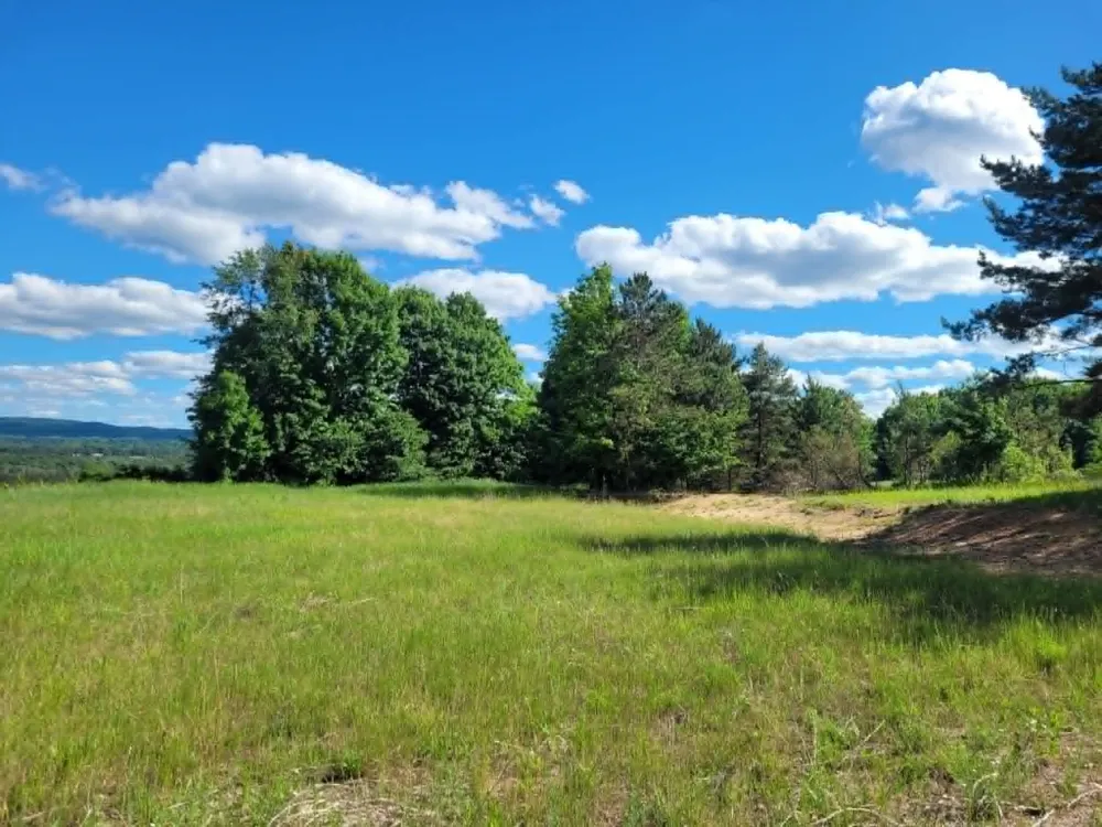 W 12 1/2 ROAD Wexford Township, MI 49668
