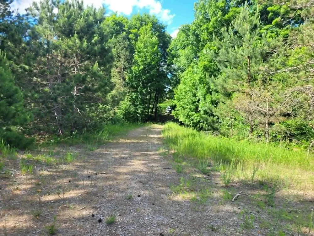 W 12 1/2 ROAD Wexford Township, MI 49668