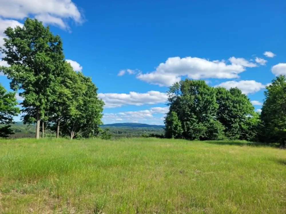 W 12 1/2 ROAD Wexford Township, MI 49668