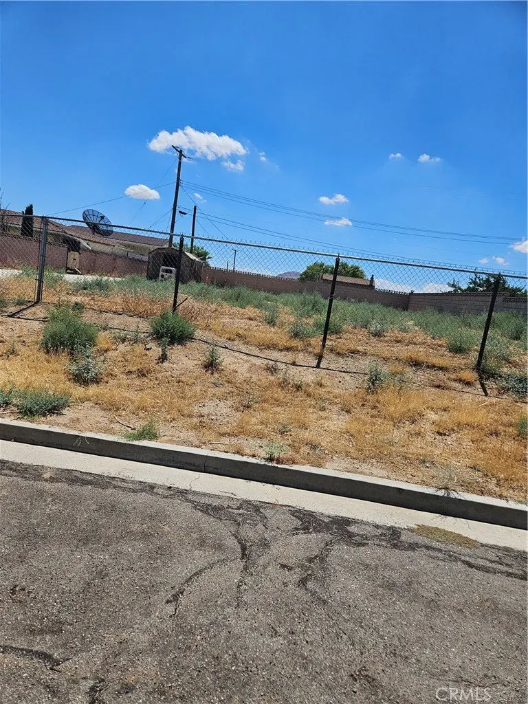 Carla Street Mojave, CA 93501