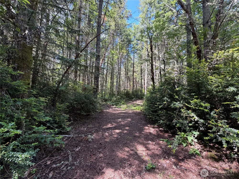 178 Geoduck Drive Quilcene, WA 98376