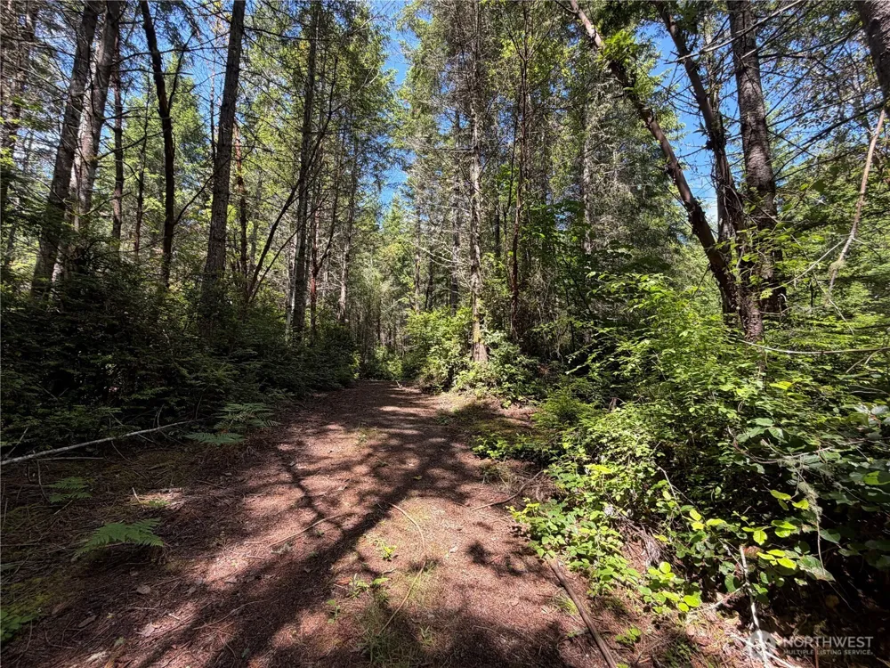 178 Geoduck Drive Quilcene, WA 98376