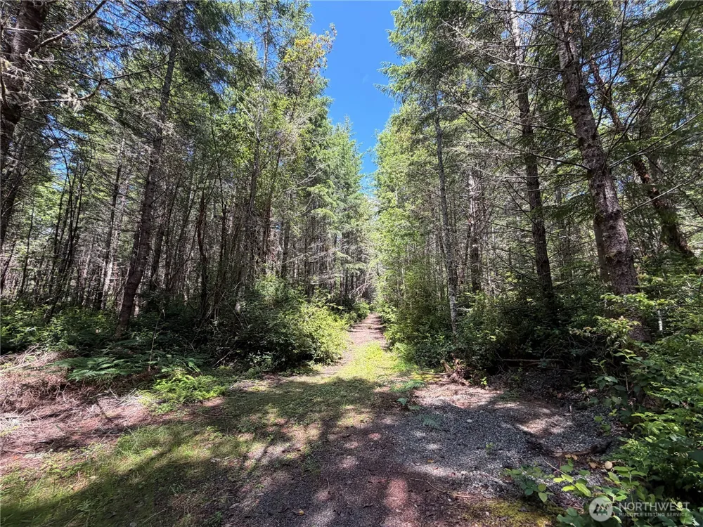 178 Geoduck Drive Quilcene, WA 98376