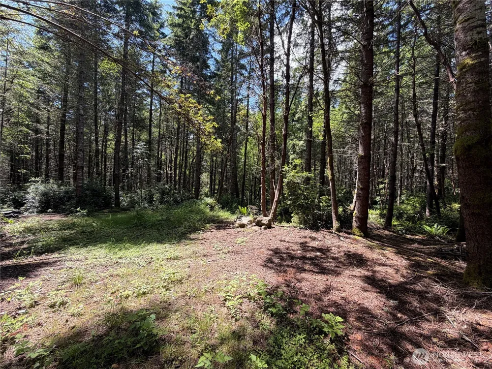 178 Geoduck Drive Quilcene, WA 98376