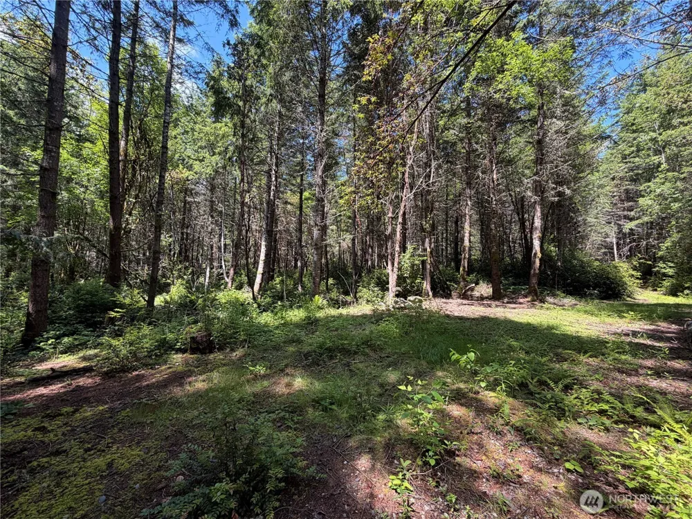 178 Geoduck Drive Quilcene, WA 98376