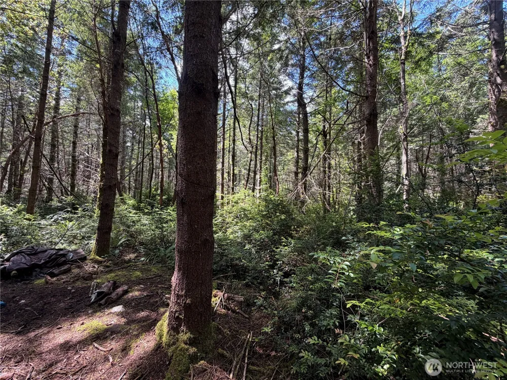 178 Geoduck Drive Quilcene, WA 98376