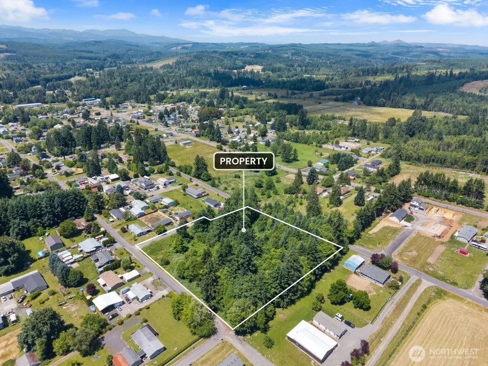 0 8th Street Vader, WA 98593