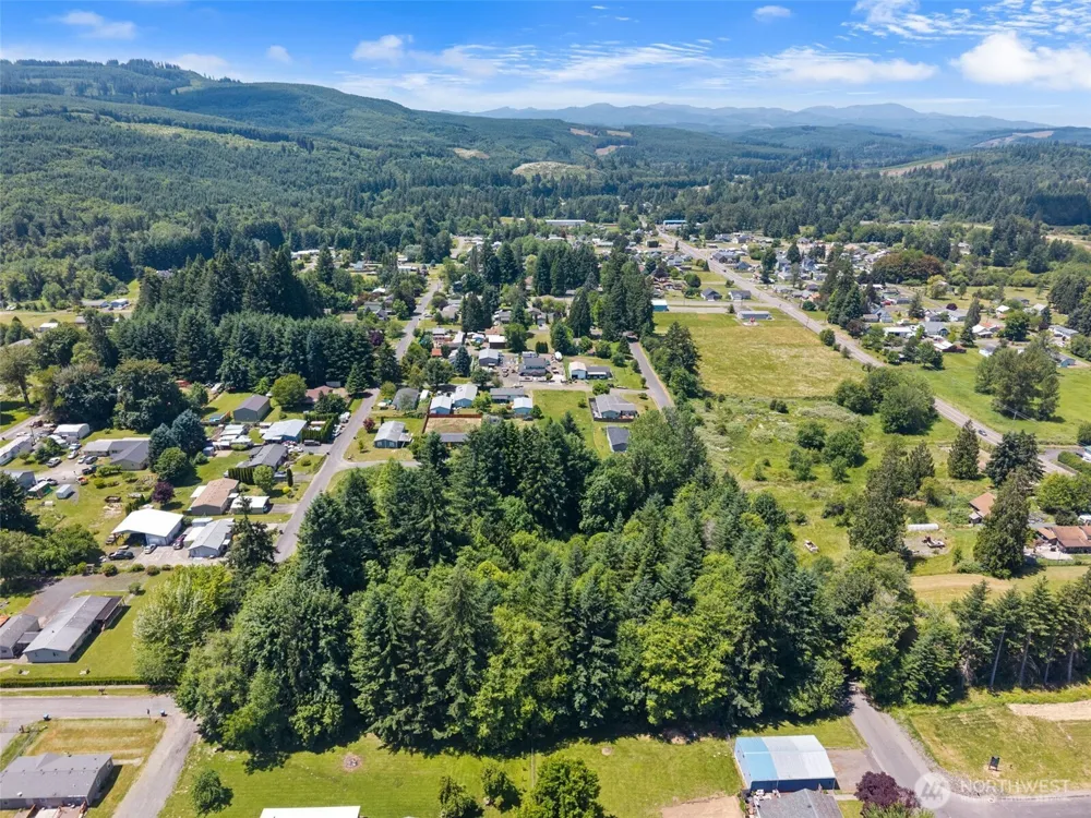 0 8th Street Vader, WA 98593