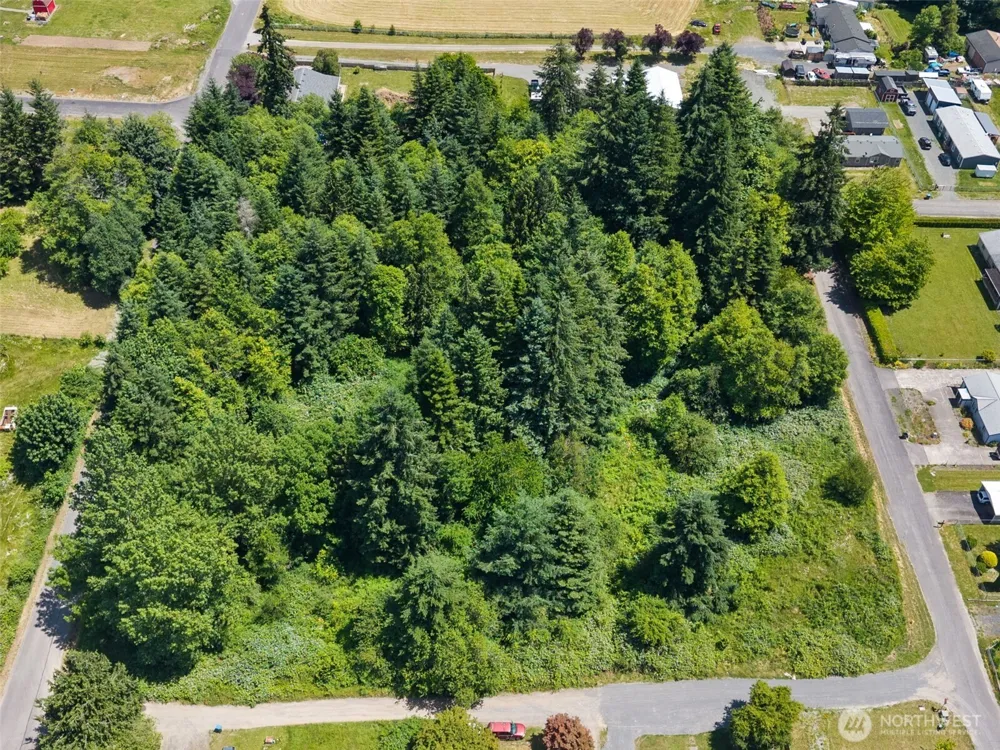 0 8th Street Vader, WA 98593
