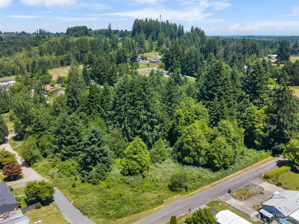 0 8th Street Vader, WA 98593