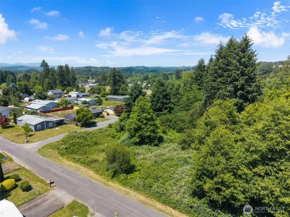 0 8th Street Vader, WA 98593