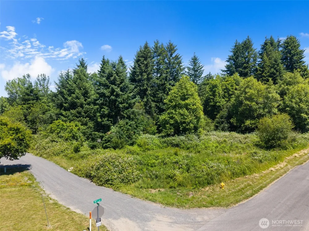 0 8th Street Vader, WA 98593