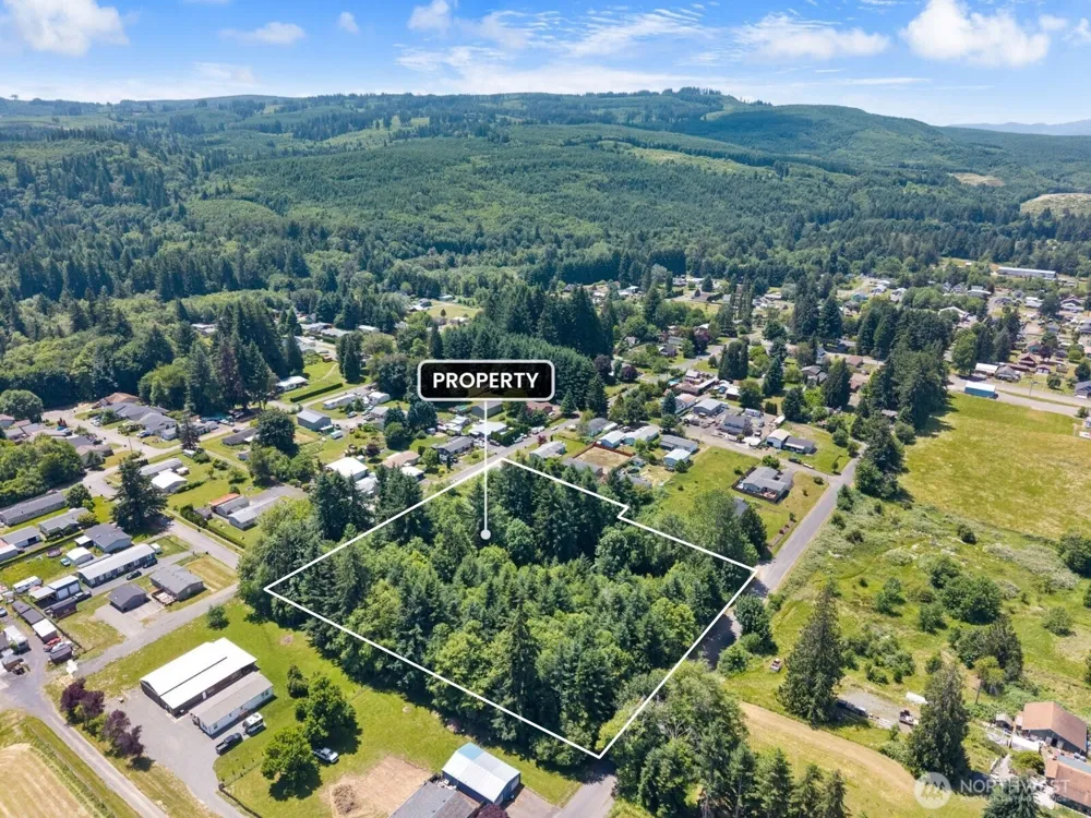 0 8th Street Vader, WA 98593