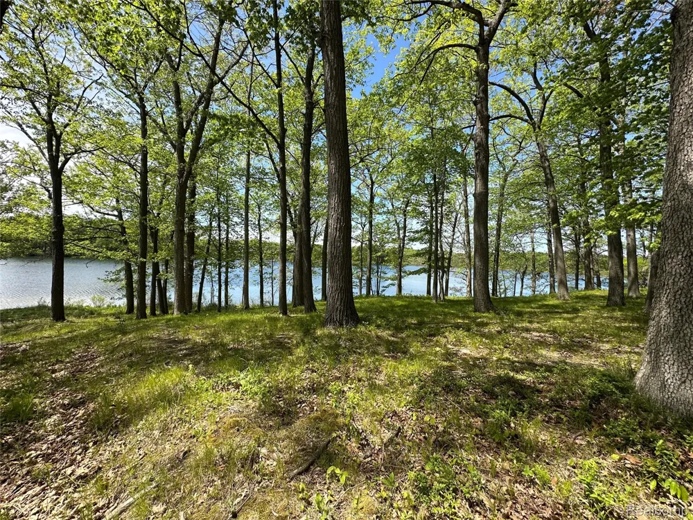 6727 Sherman Street Marathon Township, MI 48464
