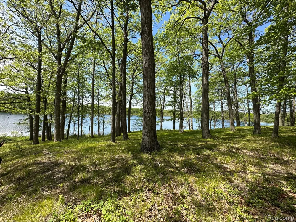 6727 Sherman Street Marathon Township, MI 48464