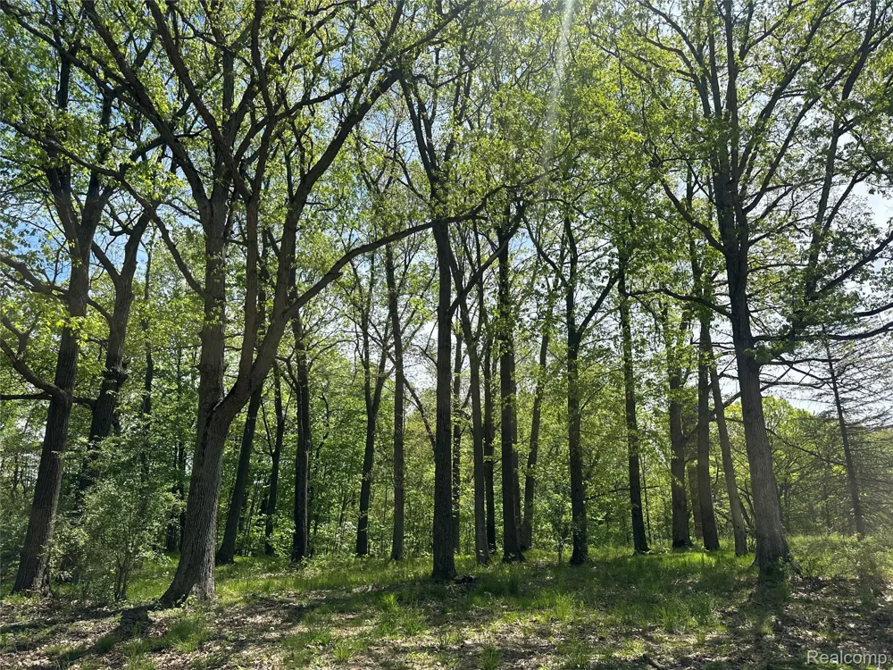6727 Sherman Street Marathon Township, MI 48464
