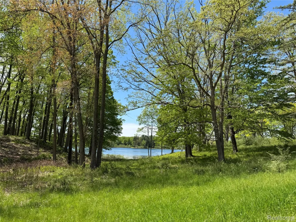 6727 Sherman Street Marathon Township, MI 48464
