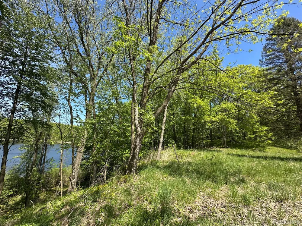 6727 Sherman Street Marathon Township, MI 48464