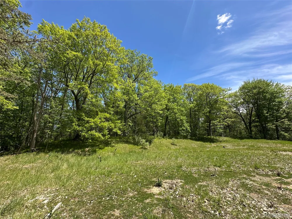 6727 Sherman Street Marathon Township, MI 48464