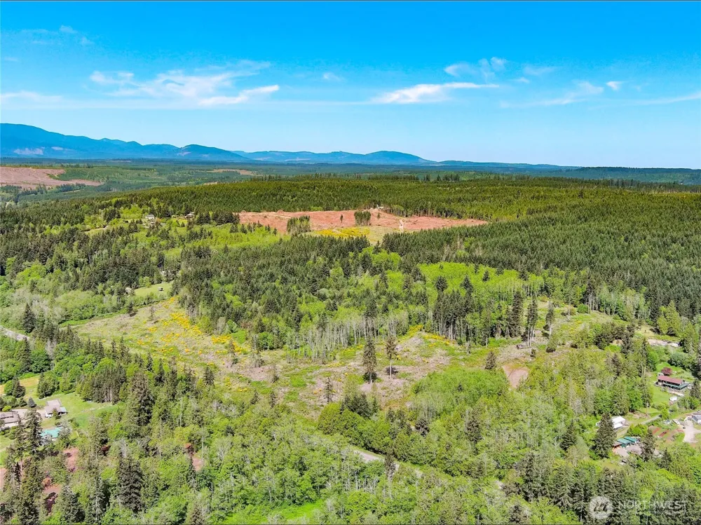 1 XXX Teal Lake Road Port Ludlow, WA 98365