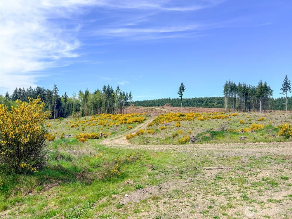 1 XXX Teal Lake Road Port Ludlow, WA 98365