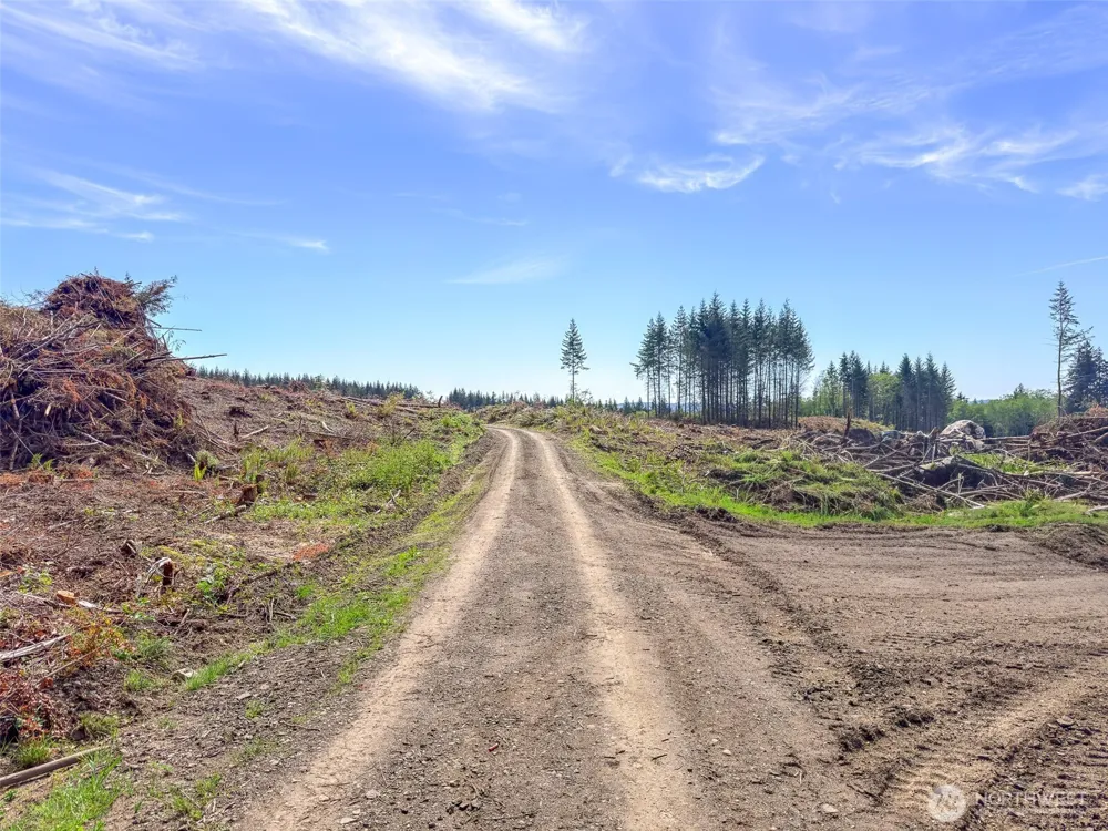 1 XXX Teal Lake Road Port Ludlow, WA 98365