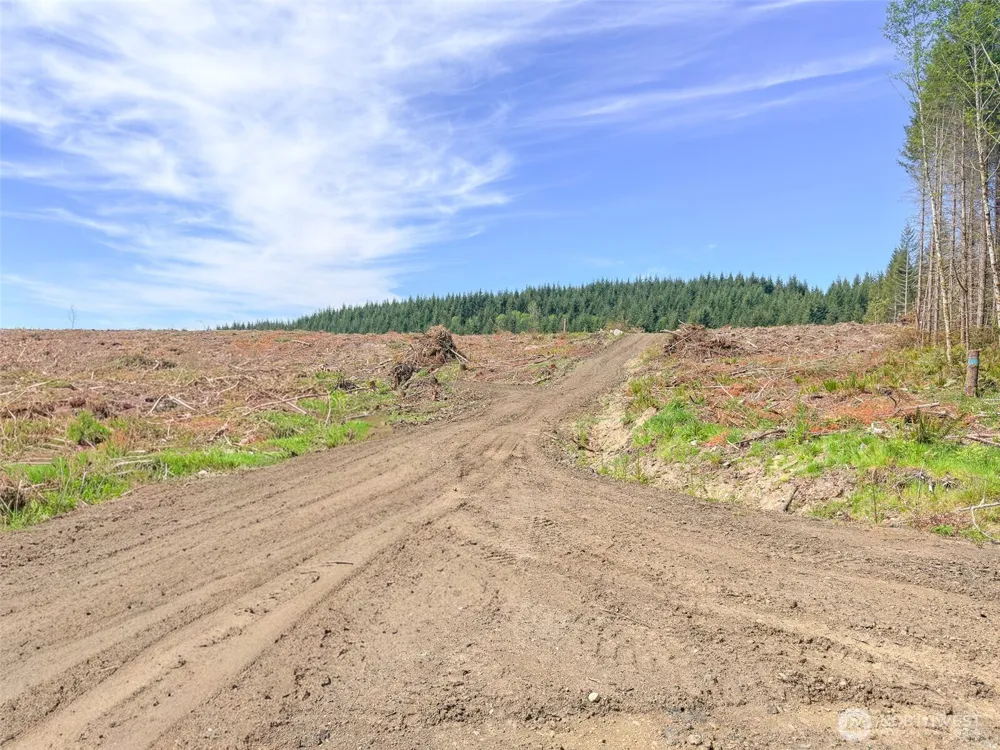 1 XXX Teal Lake Road Port Ludlow, WA 98365