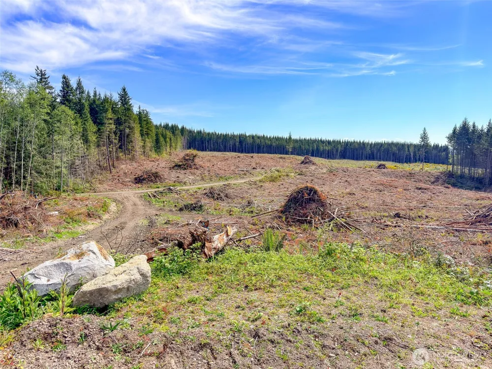 1 XXX Teal Lake Road Port Ludlow, WA 98365