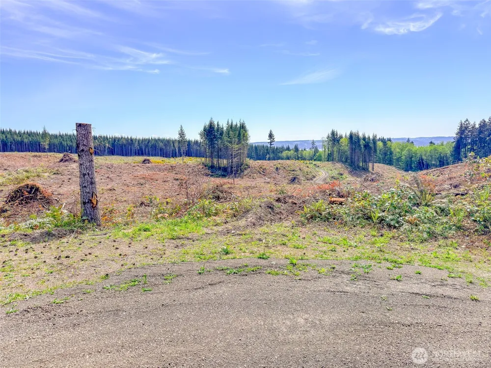 1 XXX Teal Lake Road Port Ludlow, WA 98365