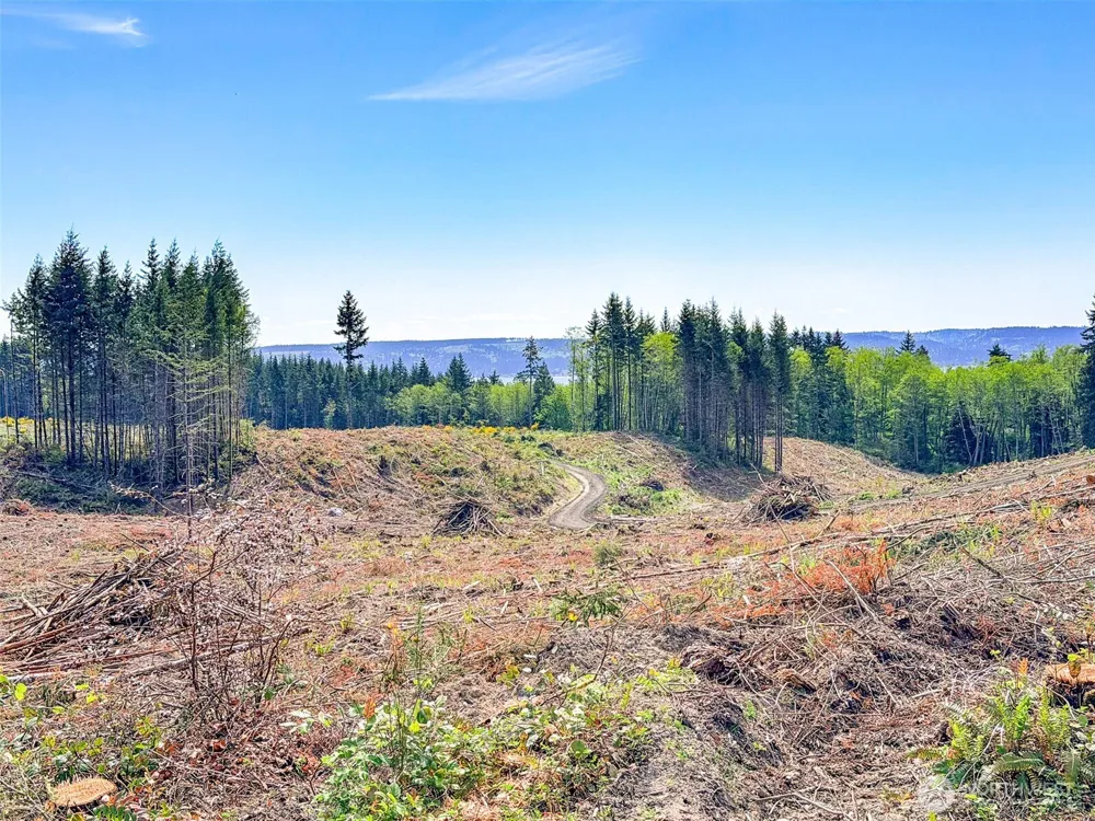 1 XXX Teal Lake Road Port Ludlow, WA 98365