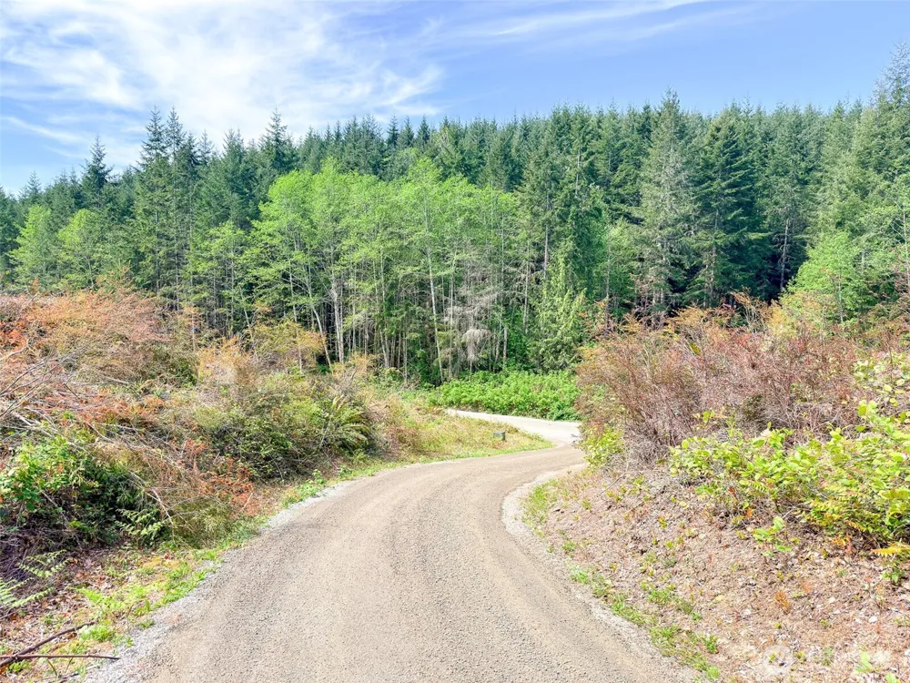 1 XXX Teal Lake Road Port Ludlow, WA 98365