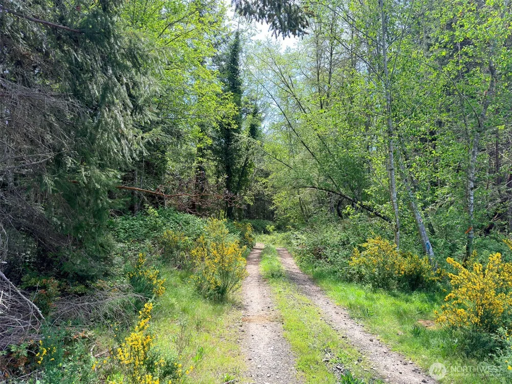 2 XXX Teal Lake Road Port Ludlow, WA 98365