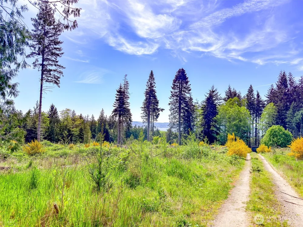 2 XXX Teal Lake Road Port Ludlow, WA 98365