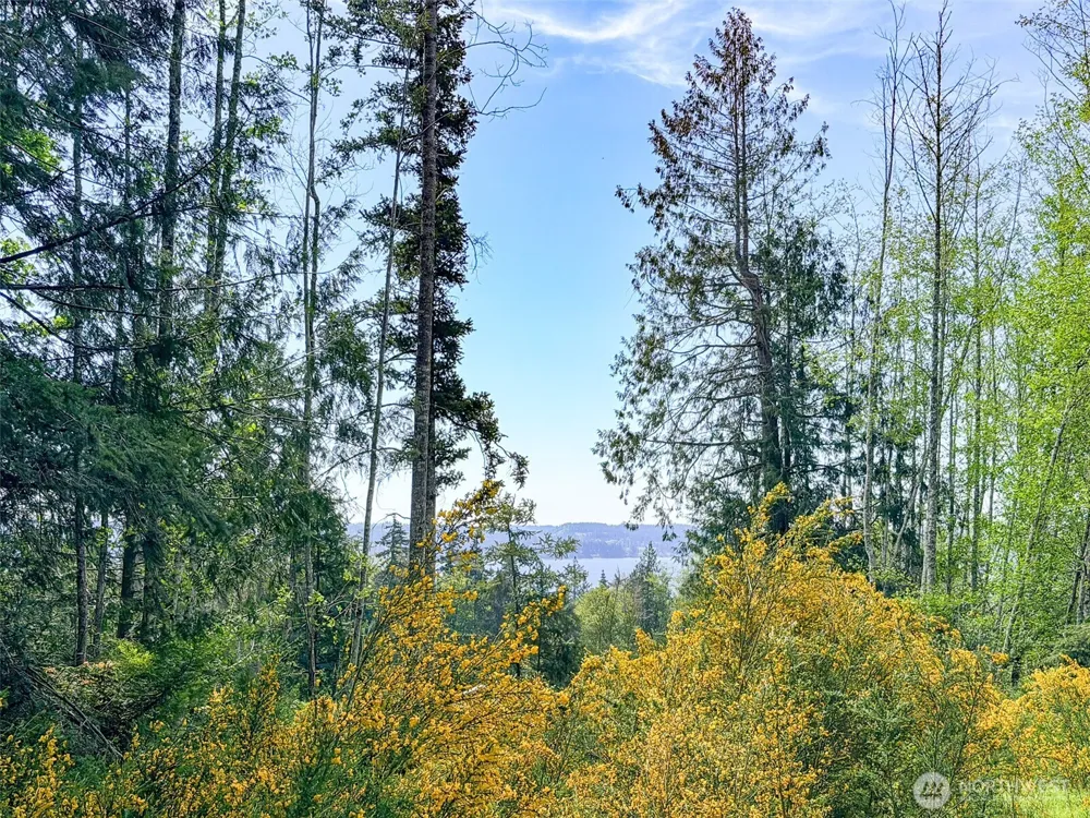 2 XXX Teal Lake Road Port Ludlow, WA 98365