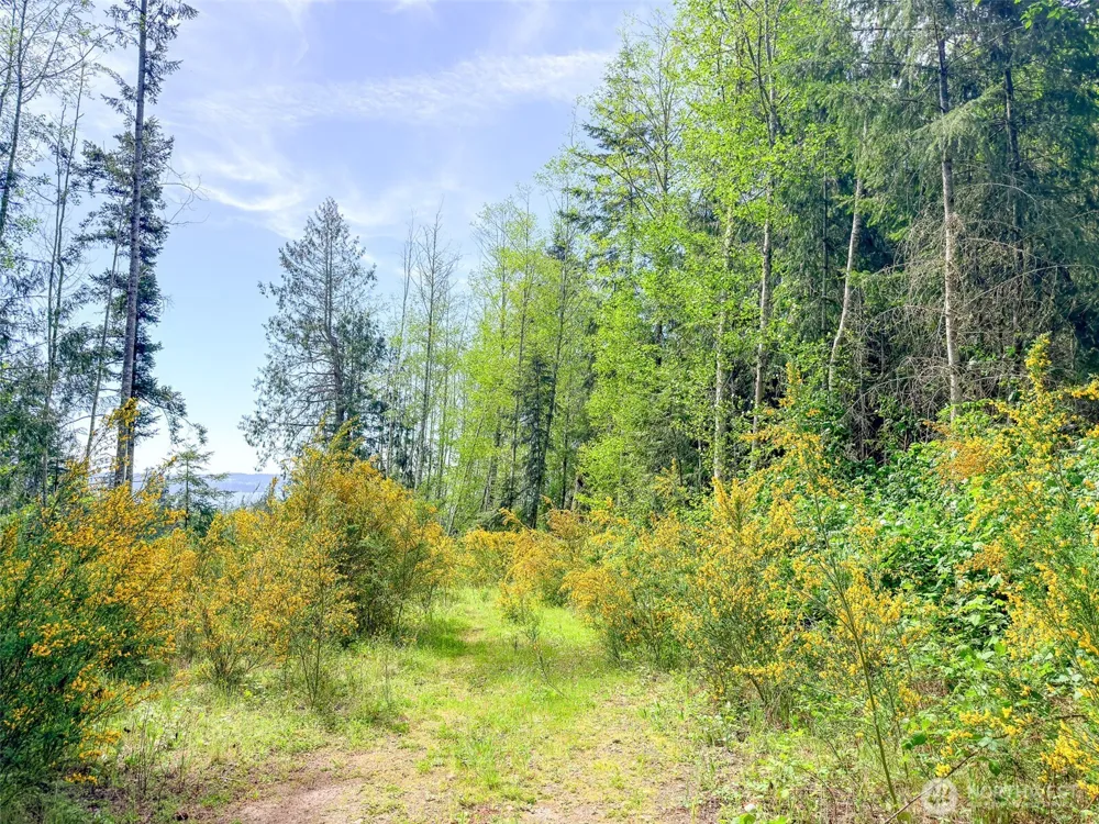 2 XXX Teal Lake Road Port Ludlow, WA 98365