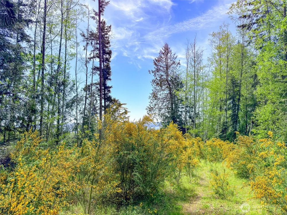 2 XXX Teal Lake Road Port Ludlow, WA 98365