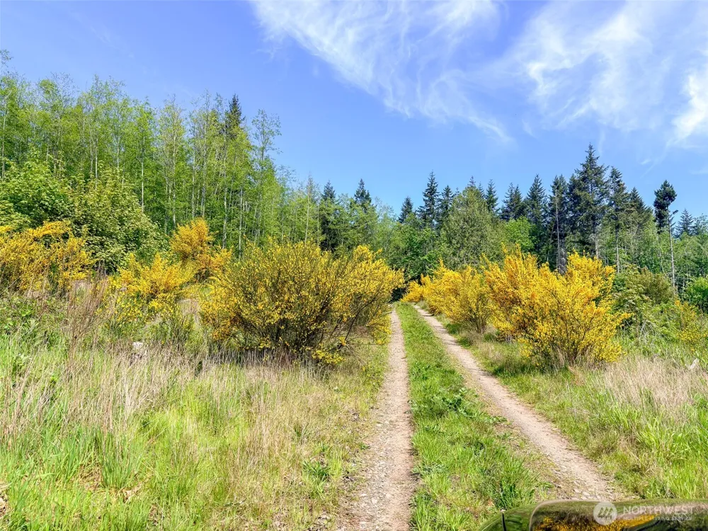 2 XXX Teal Lake Road Port Ludlow, WA 98365