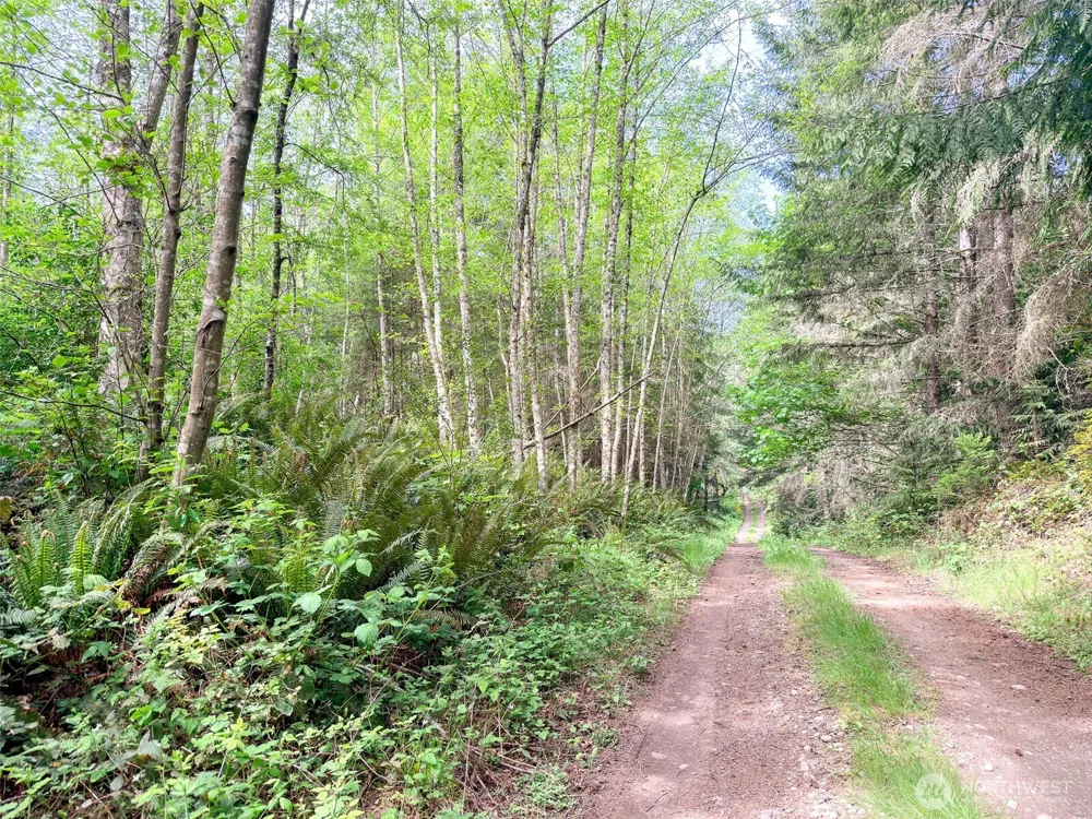 2 XXX Teal Lake Road Port Ludlow, WA 98365