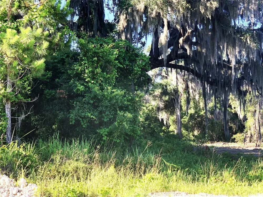 27551 JACKSON COURT Okahumpka, FL 34762