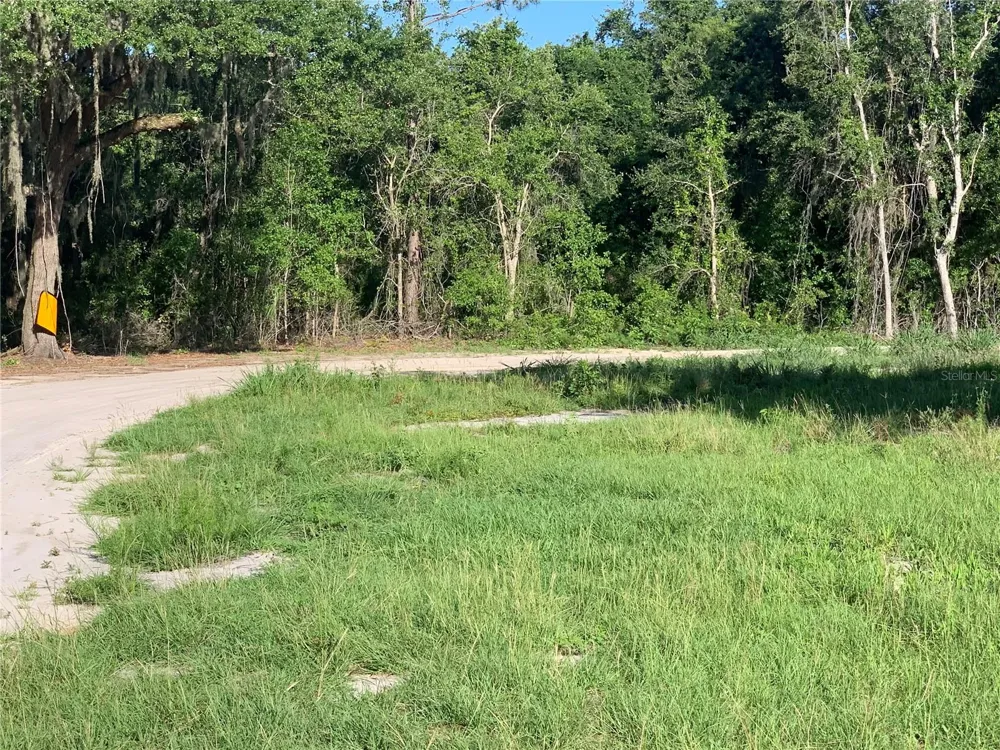 27551 JACKSON COURT Okahumpka, FL 34762