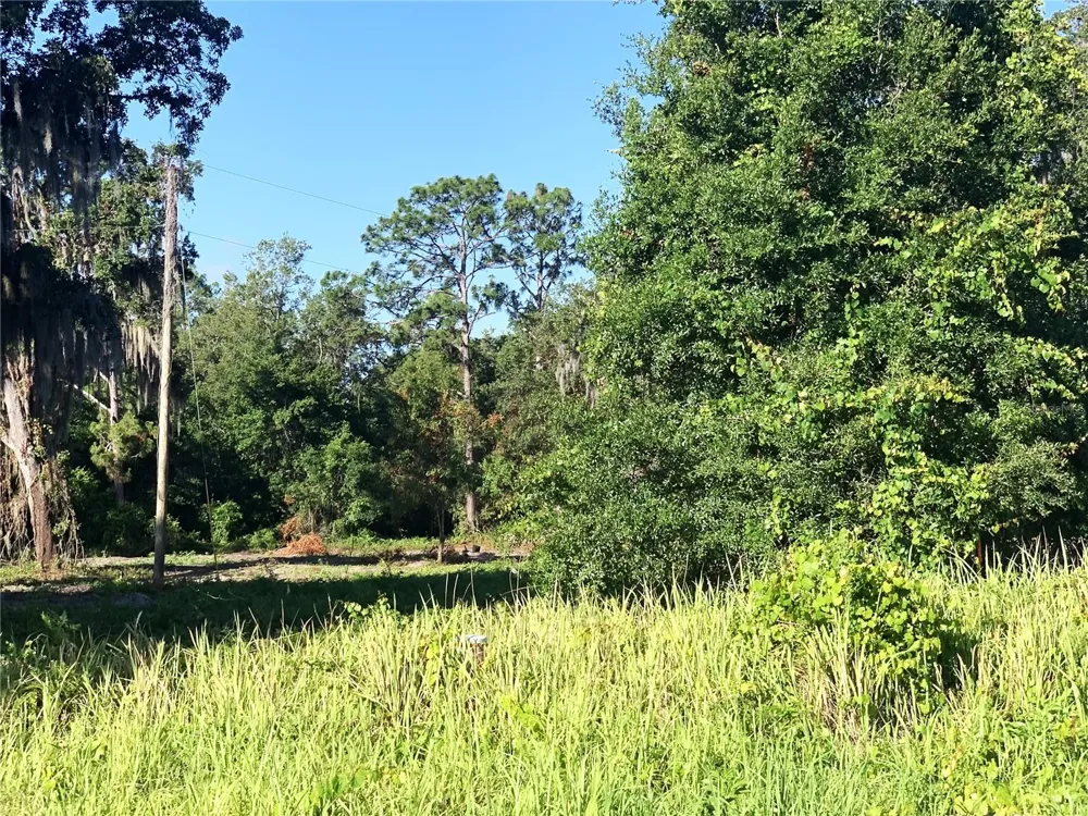 27551 JACKSON COURT Okahumpka, FL 34762