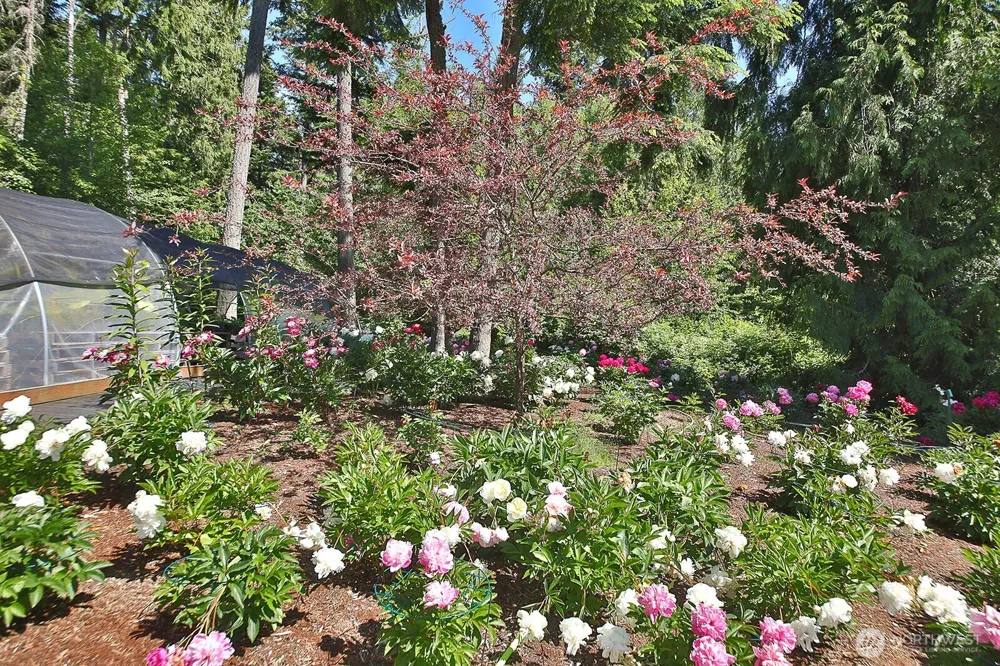 6545 Cultus Bay Road Clinton, WA 98236