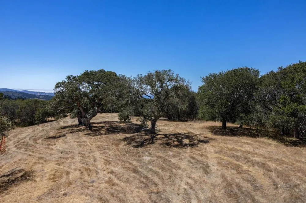 8225 Carina Carmel, CA 93923