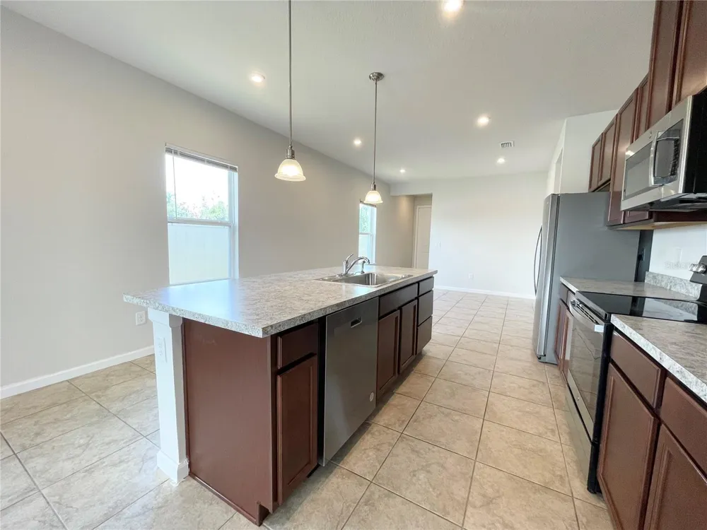 10668 OLD SYCAMORE LOOP Land O Lakes, FL 34638