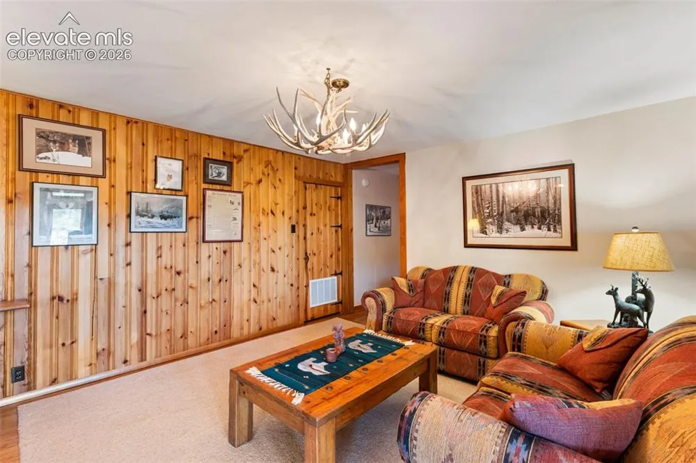 146 Toms Ranch Road Lake George, CO 80827