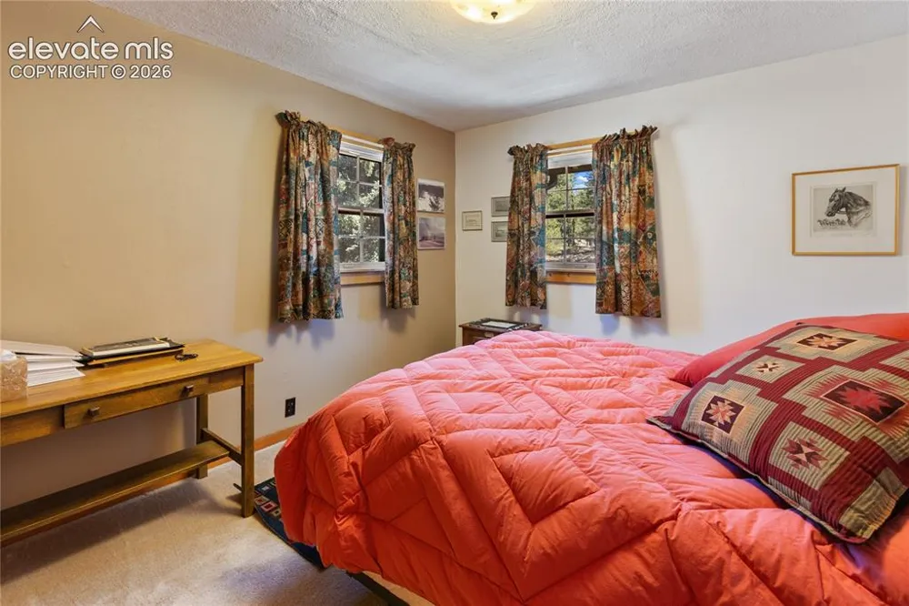 146 Toms Ranch Road Lake George, CO 80827