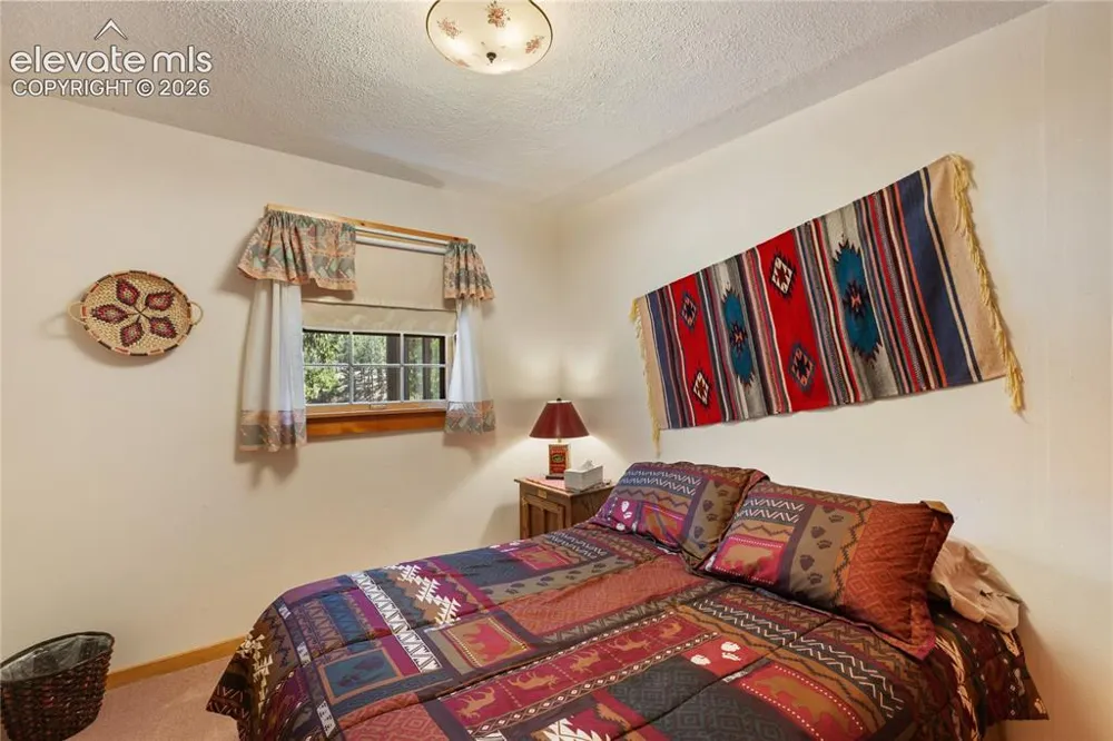 146 Toms Ranch Road Lake George, CO 80827