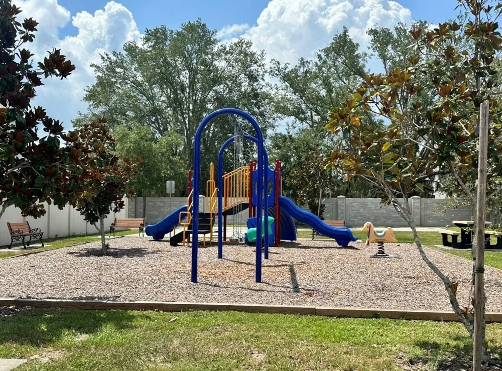12113 VIA CASELLI LANE Windermere, FL 34786