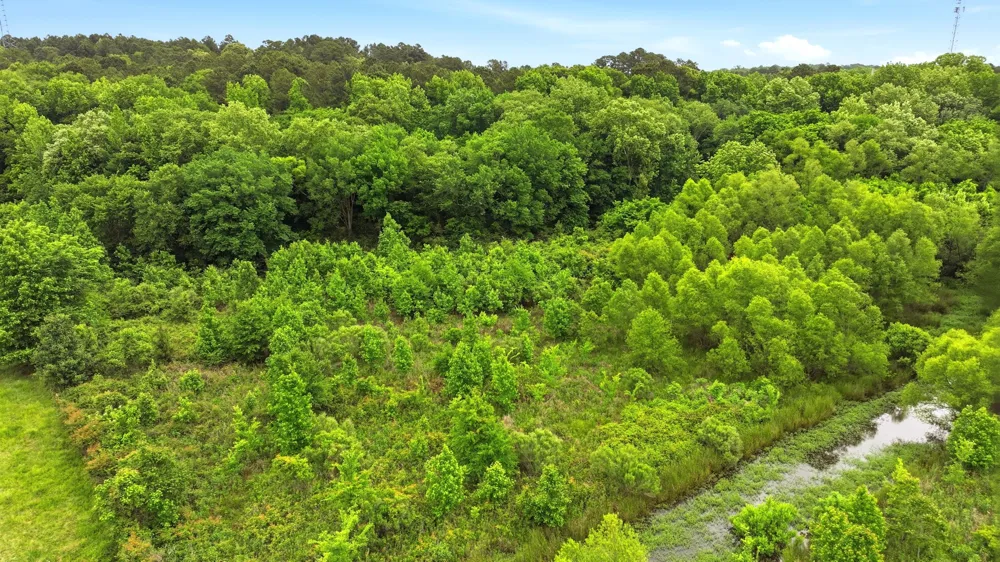 1475 CR 137 Flint, TX 75762